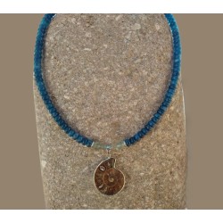 Ammonite sur jade bleu