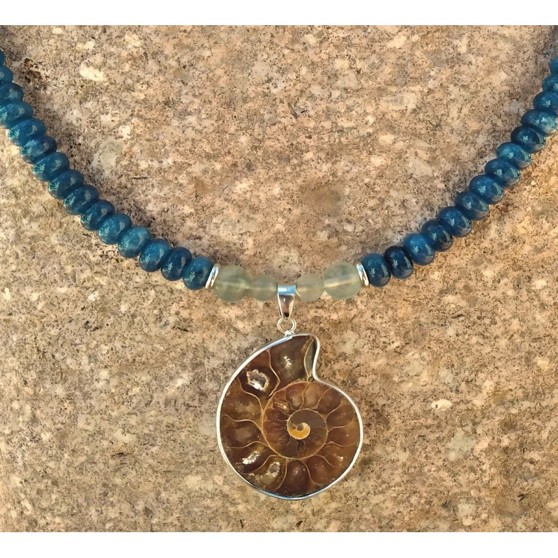 Ammonite sur jade bleu Ammonite sur jade bleu
